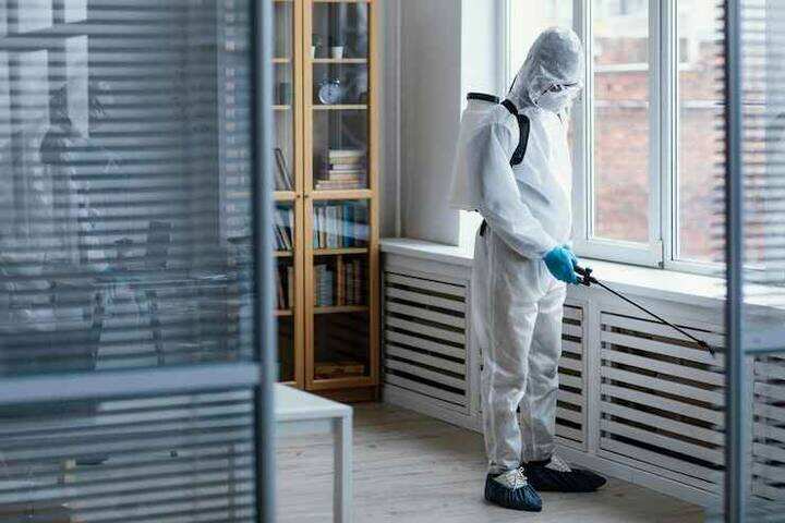 Professional Mold Remediation and Removal Services in Portland
