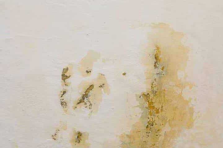 Expert Water Damage Repair and Restoration Services in Portland