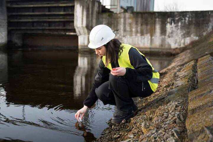 Mold Removal and Remediation Services in Portland
